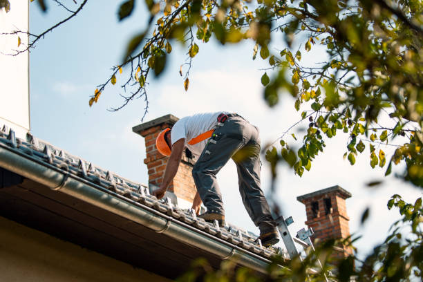 Asphalt Shingles Roofing in Napoleon, OH