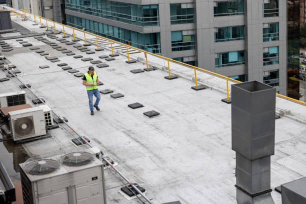 Best Roof Moss and Algae Removal  in Napoleon, OH