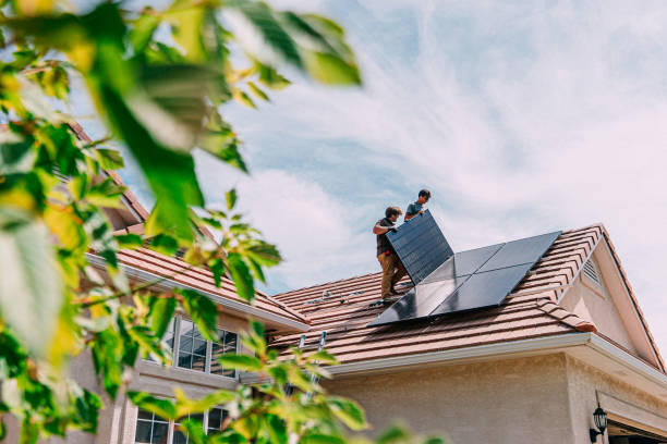 Best Chimney Flashing Repair  in Napoleon, OH