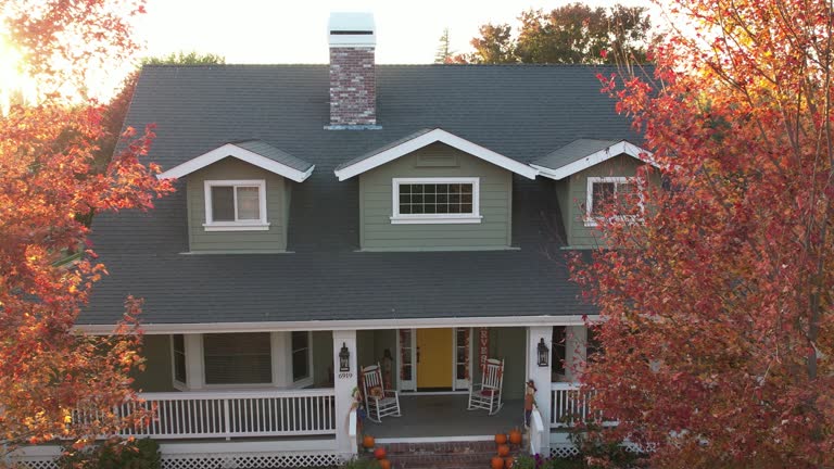 Best Roof Ventilation Installation  in Napoleon, OH