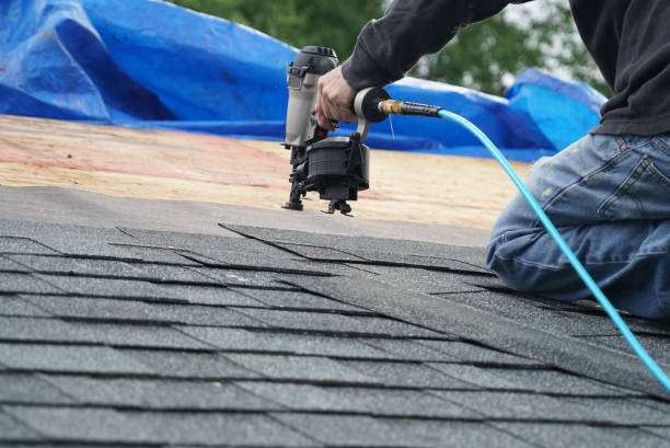 Best Emergency Roof Repair Services  in Napoleon, OH